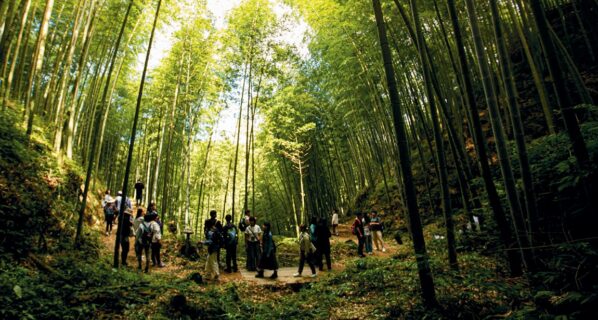 {{brizy_dc_image_alt imageSrc=